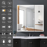 BESTGO LED Lighted Medicine Cabinet with Mirror for Bathroom 30x30 Double Door Surface Wall Mount Flip-Out Magnifying Mirror Door Storage Defogger 3 Color Lighting Dimmer Medicine Cabinets Black