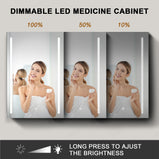 BESTGO LED Medicine Cabinet for Bathroom with Mirror 30x20 Lighted Medicine Cabinet Lights Adjustable Height Magnifying Mirror 3X Jewelry Organizer 3 Color Brightness Dimmable with Glass Shelves